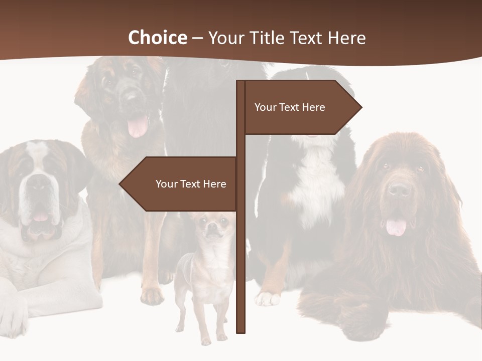 Pawns Bernard Pack PowerPoint Template