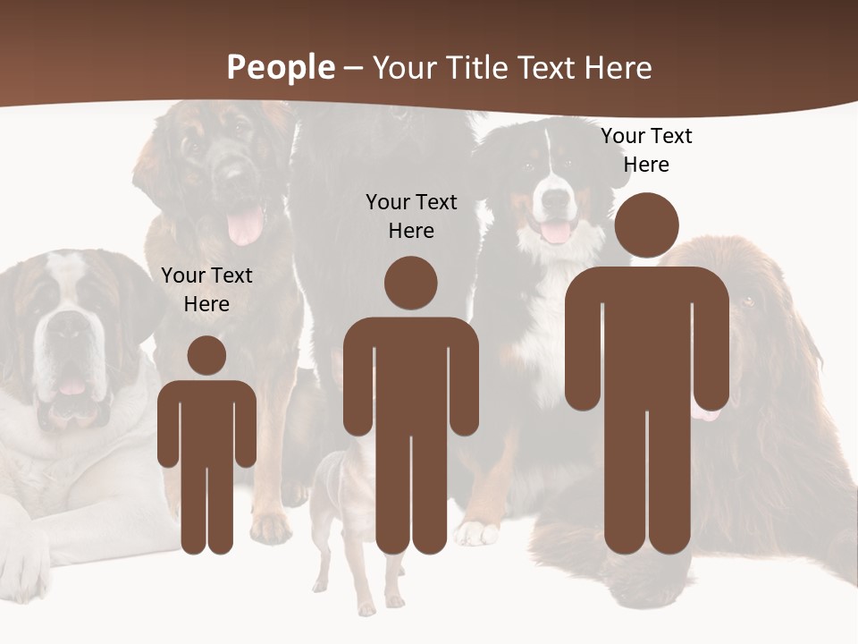 Pawns Bernard Pack PowerPoint Template