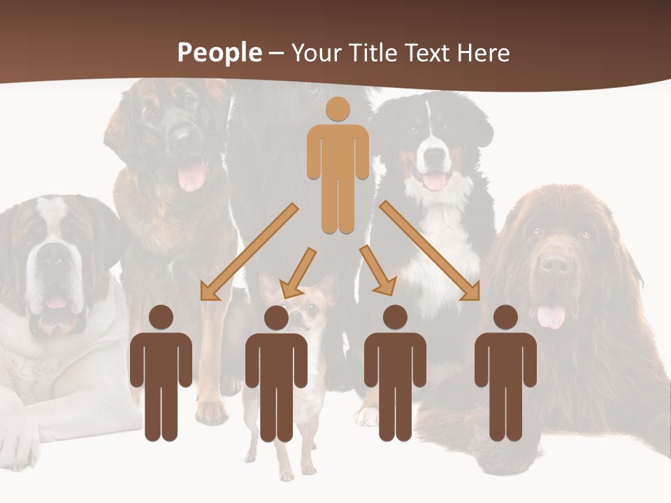 Pawns Bernard Pack PowerPoint Template