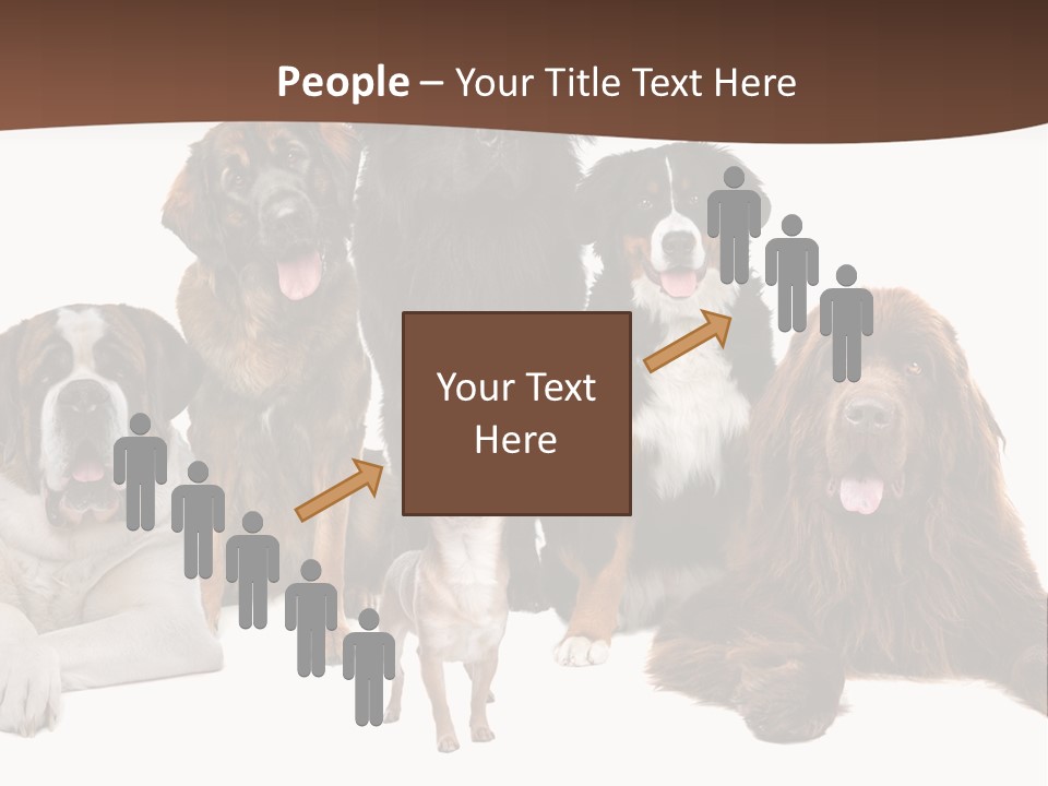 Pawns Bernard Pack PowerPoint Template