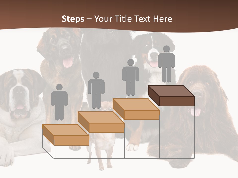 Pawns Bernard Pack PowerPoint Template