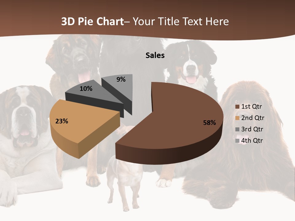 Pawns Bernard Pack PowerPoint Template