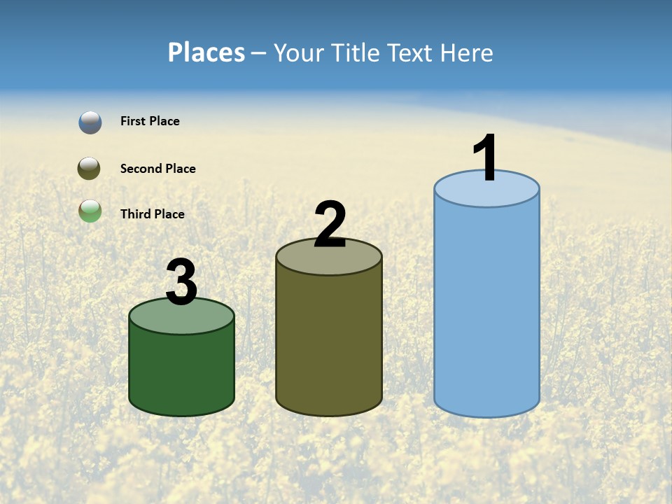 Canola Sun Gold PowerPoint Template