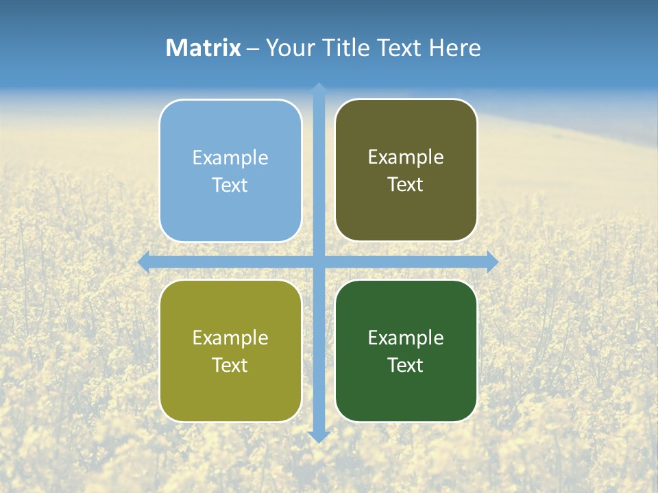 Canola Sun Gold PowerPoint Template