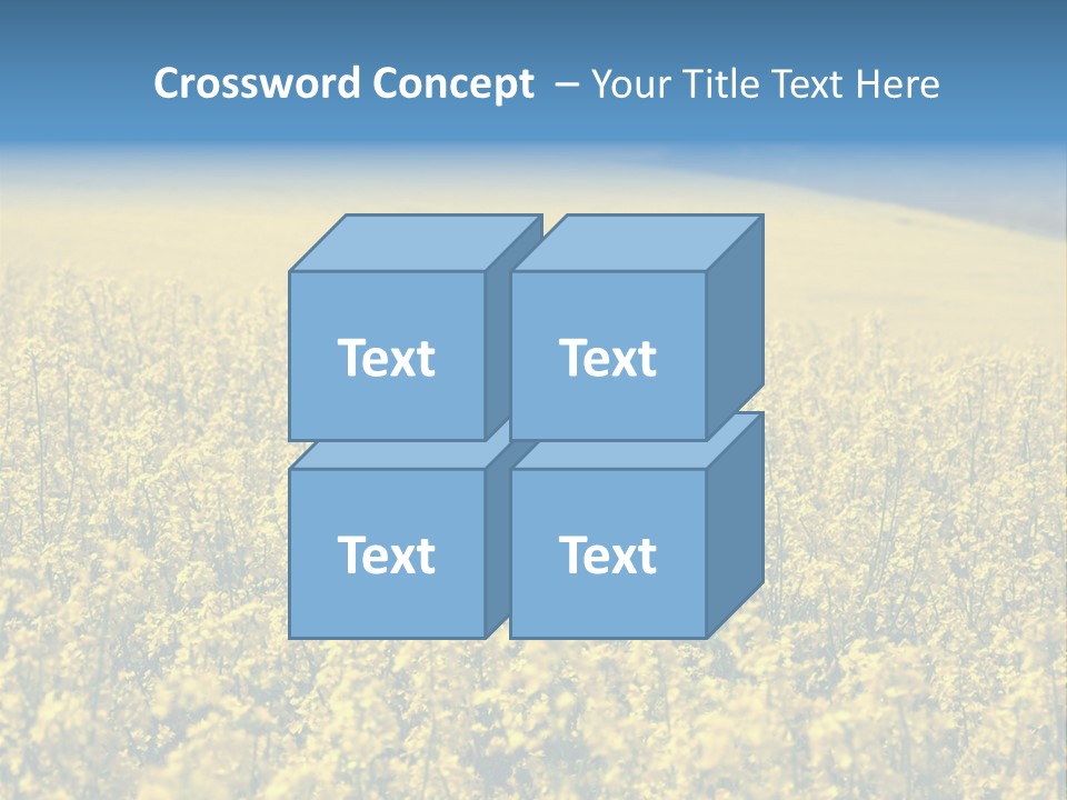 Canola Sun Gold PowerPoint Template