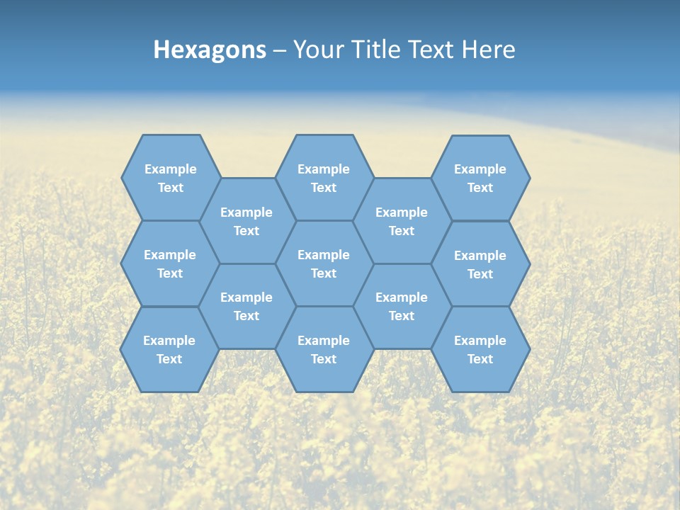 Canola Sun Gold PowerPoint Template