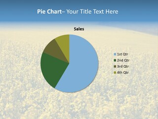 Canola Sun Gold PowerPoint Template