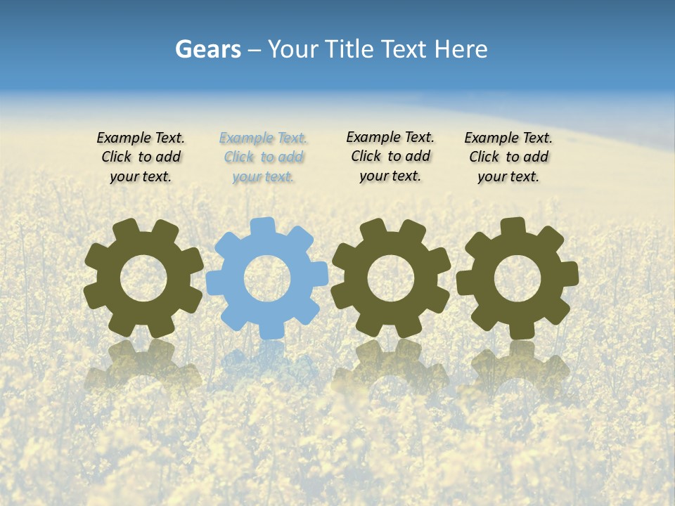 Canola Sun Gold PowerPoint Template