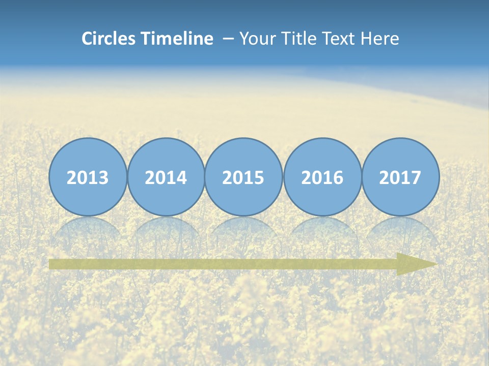 Canola Sun Gold PowerPoint Template