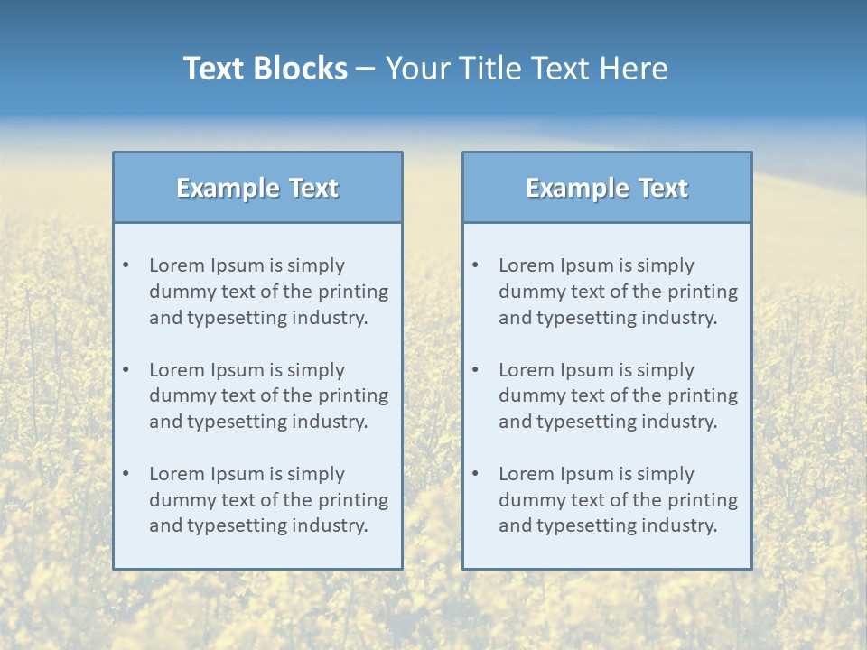 Canola Sun Gold PowerPoint Template
