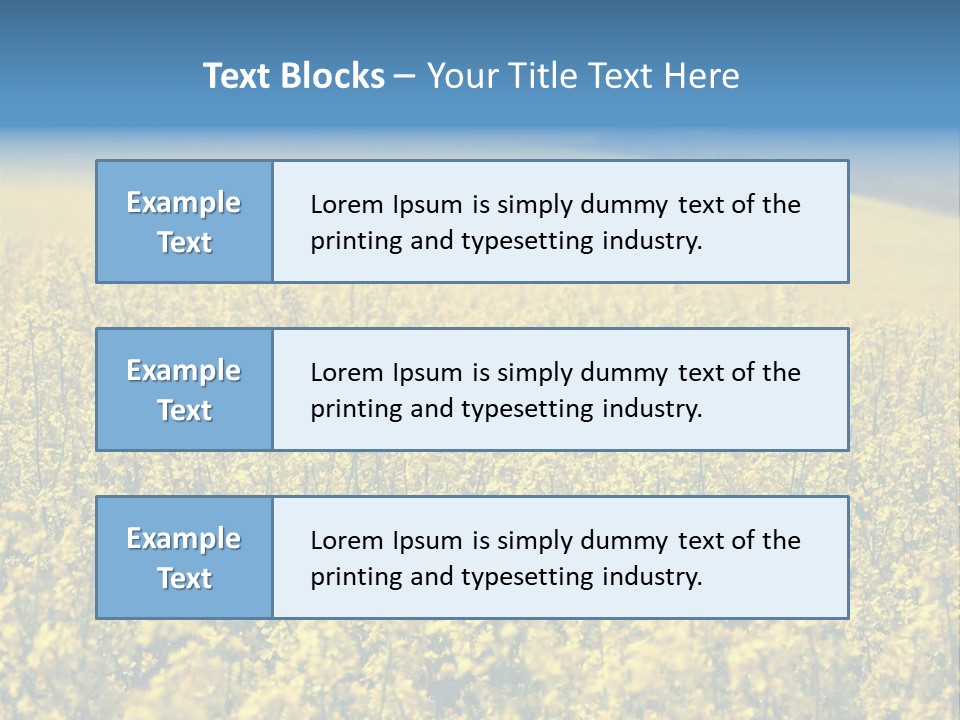 Canola Sun Gold PowerPoint Template
