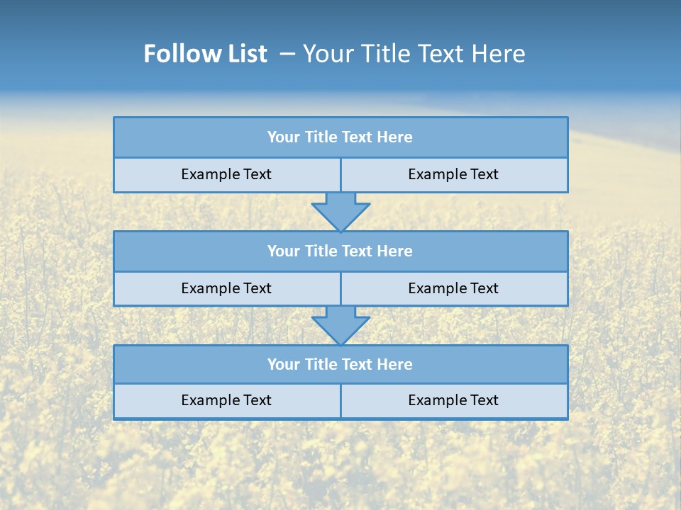 Canola Sun Gold PowerPoint Template