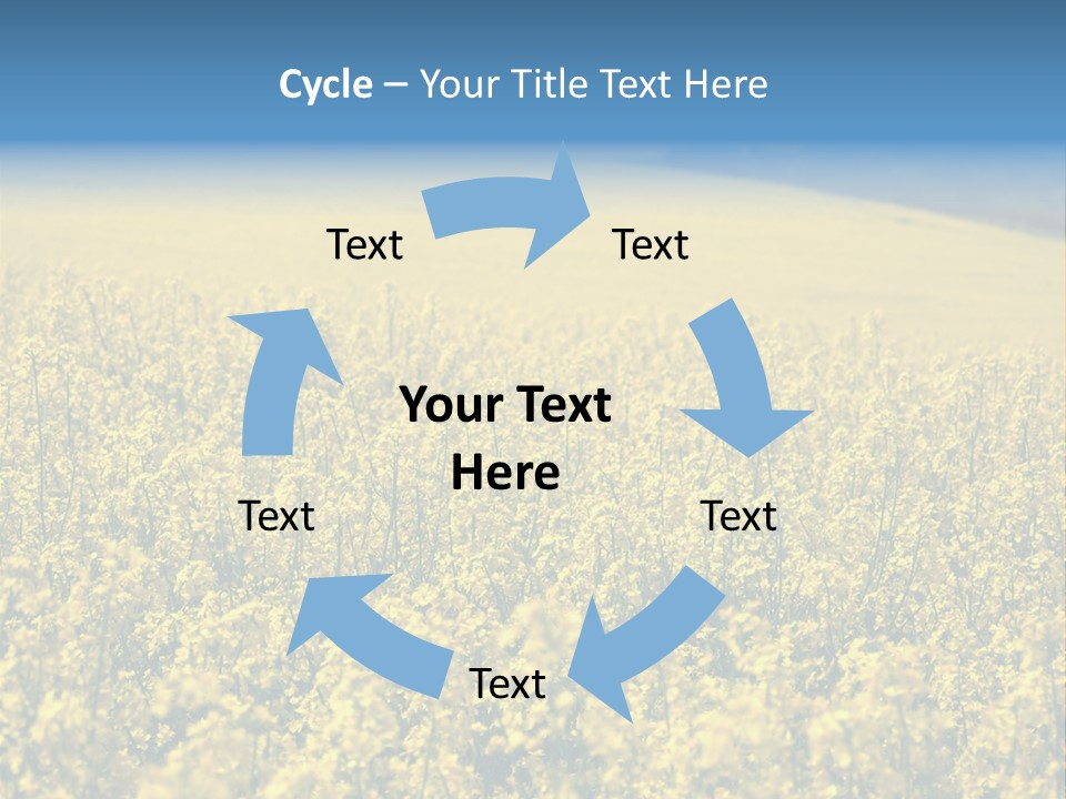 Canola Sun Gold PowerPoint Template