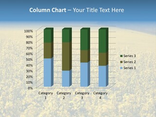 Canola Sun Gold PowerPoint Template