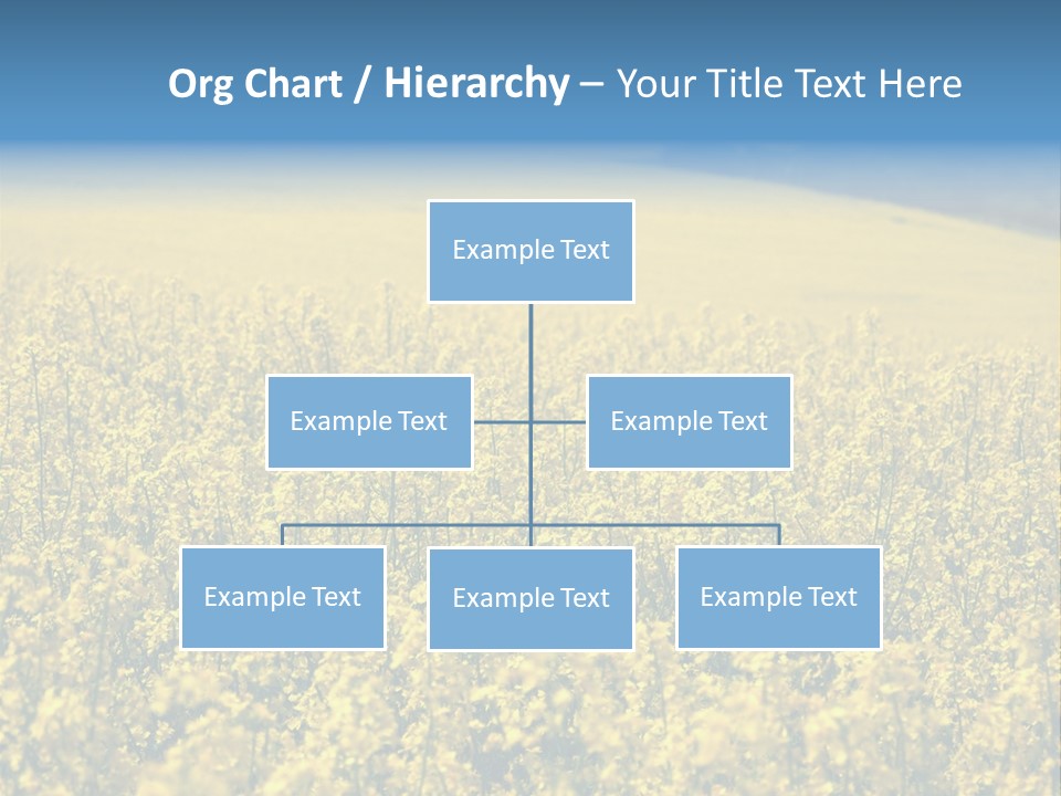 Canola Sun Gold PowerPoint Template