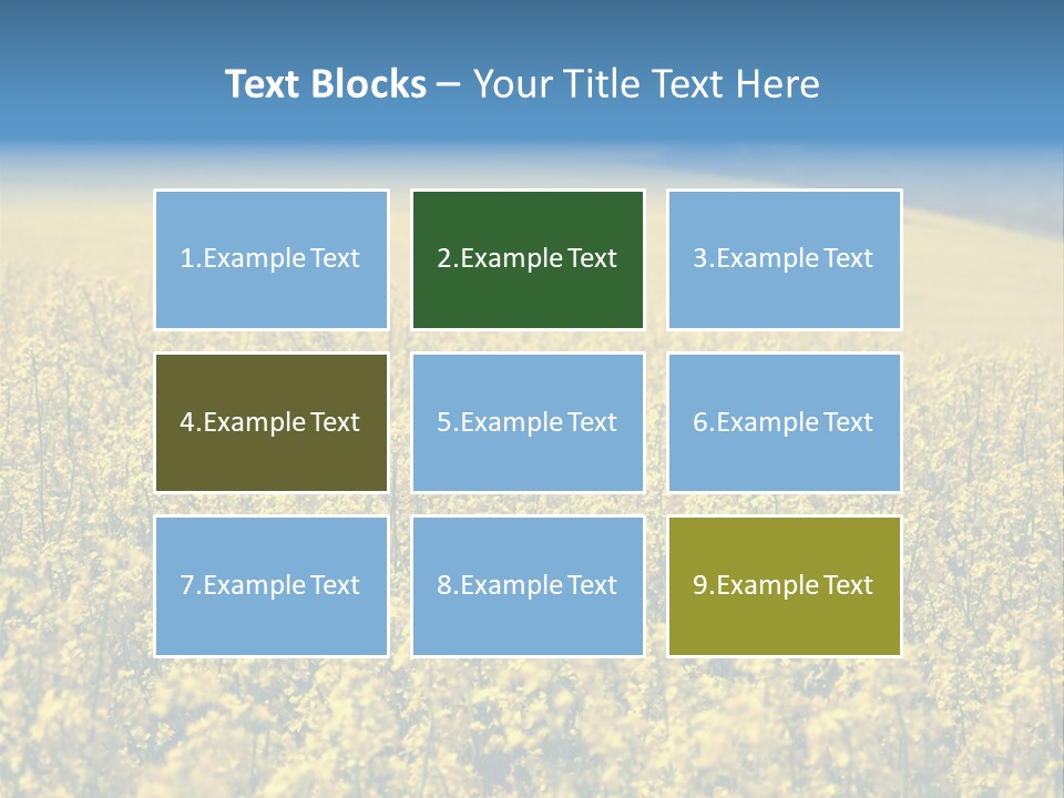 Canola Sun Gold PowerPoint Template