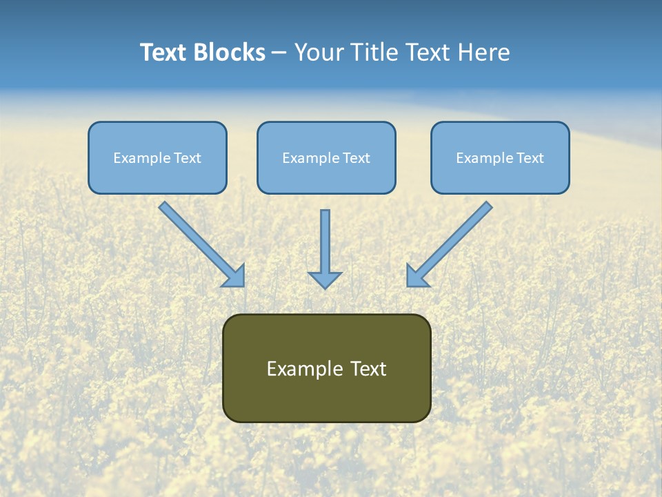 Canola Sun Gold PowerPoint Template