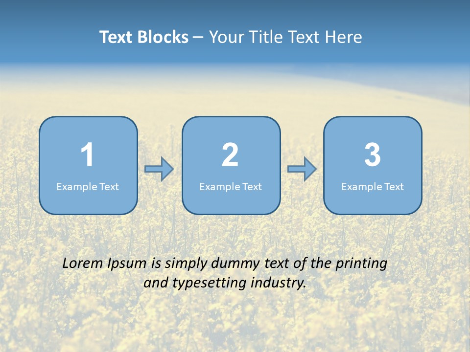 Canola Sun Gold PowerPoint Template