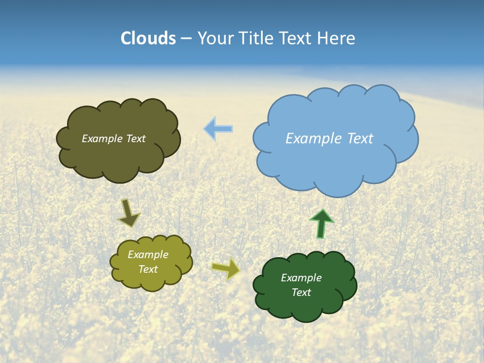 Canola Sun Gold PowerPoint Template