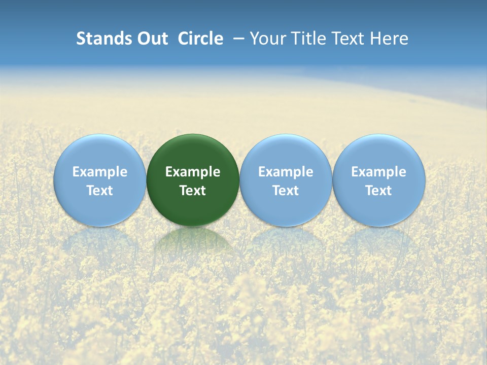 Canola Sun Gold PowerPoint Template