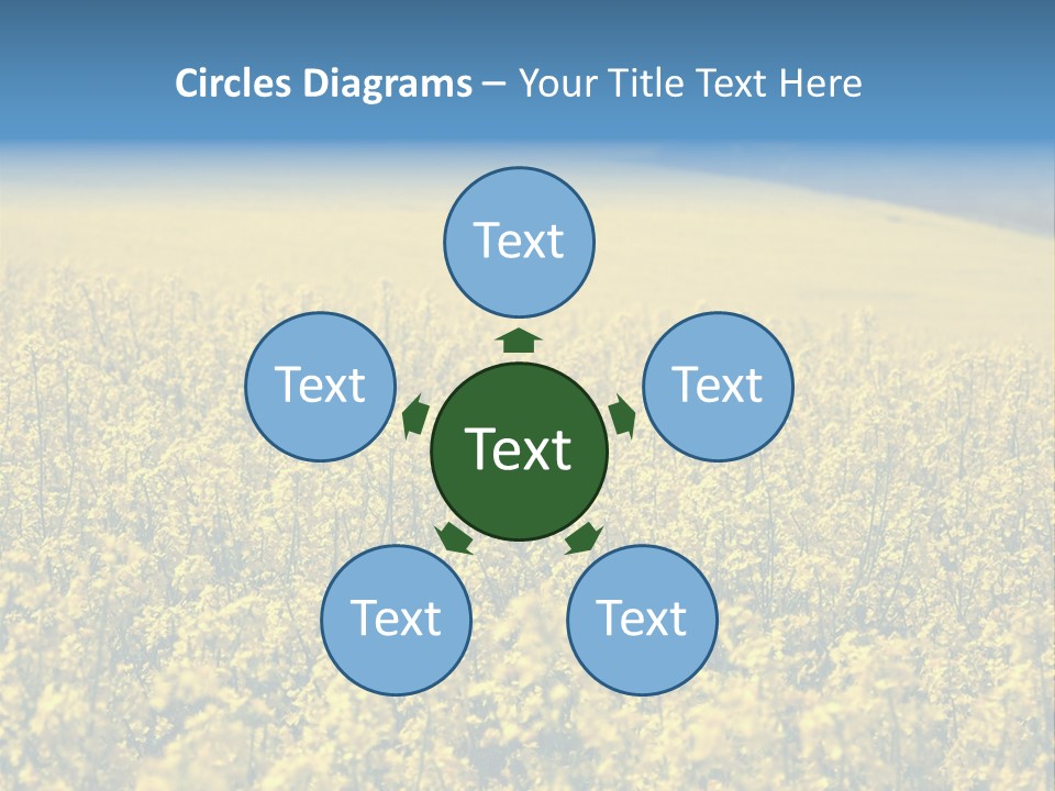 Canola Sun Gold PowerPoint Template