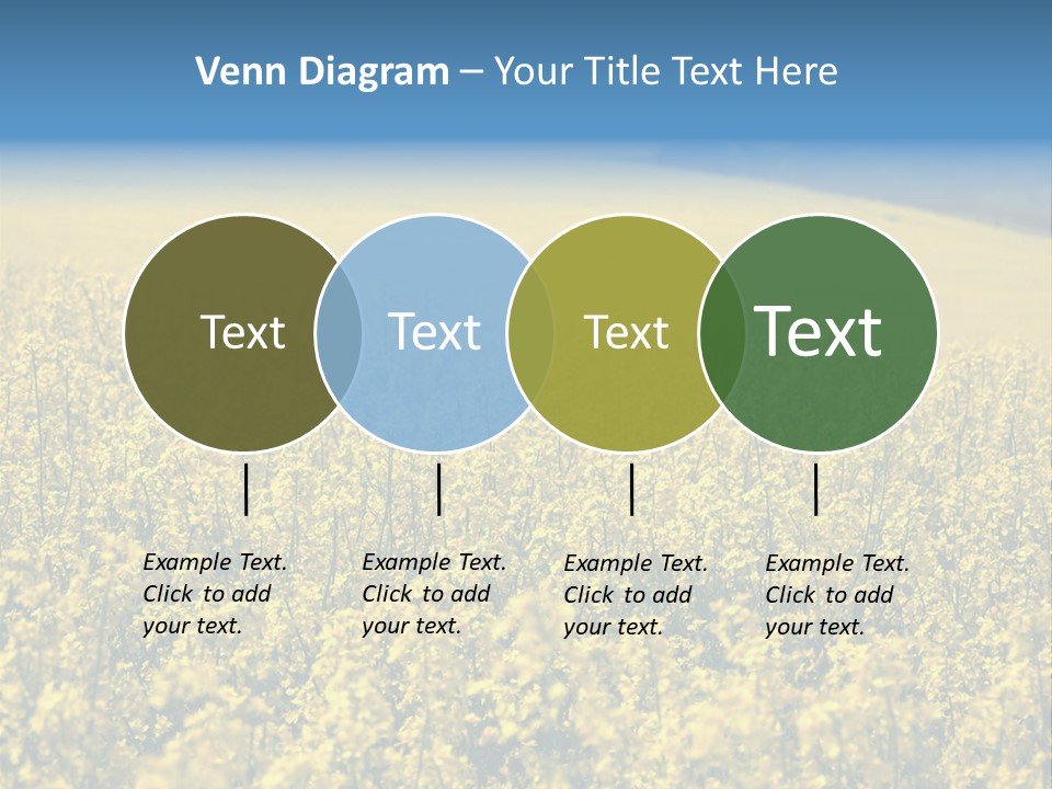 Canola Sun Gold PowerPoint Template
