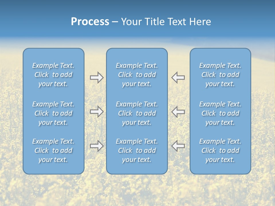 Canola Sun Gold PowerPoint Template