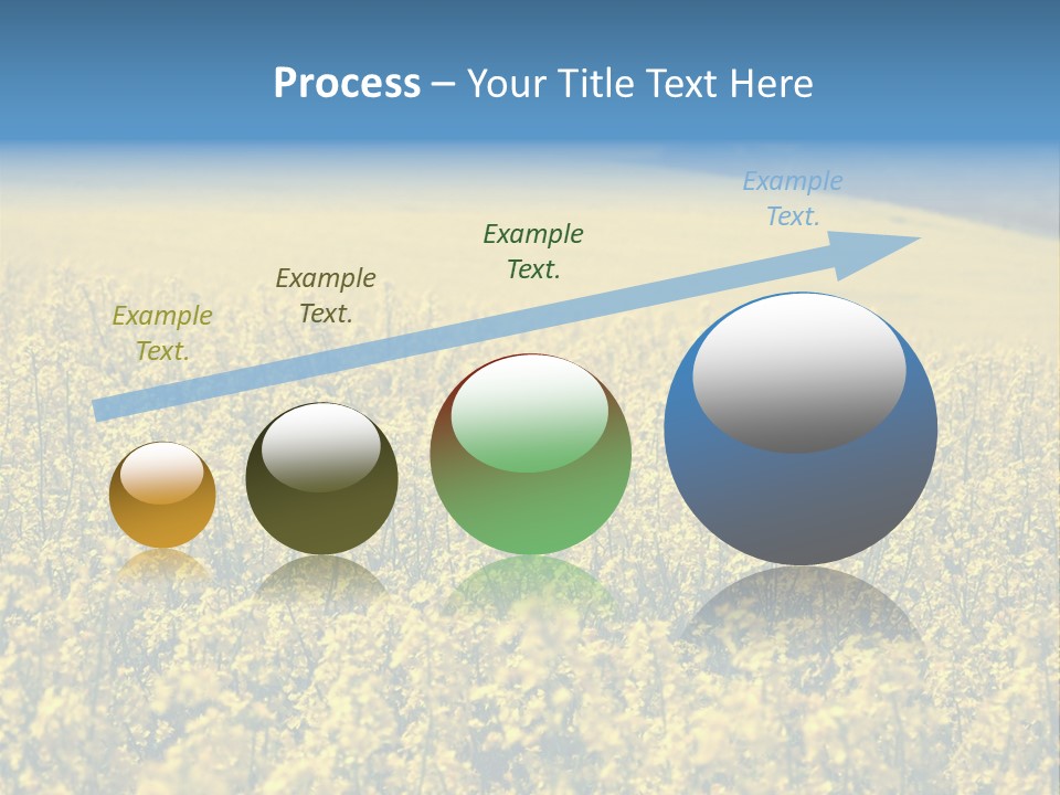 Canola Sun Gold PowerPoint Template