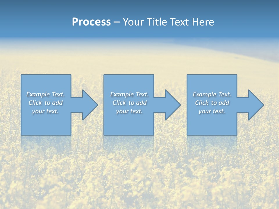 Canola Sun Gold PowerPoint Template