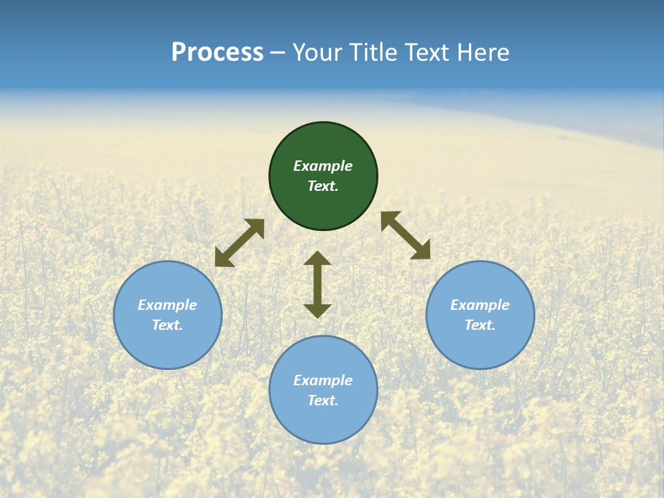 Canola Sun Gold PowerPoint Template