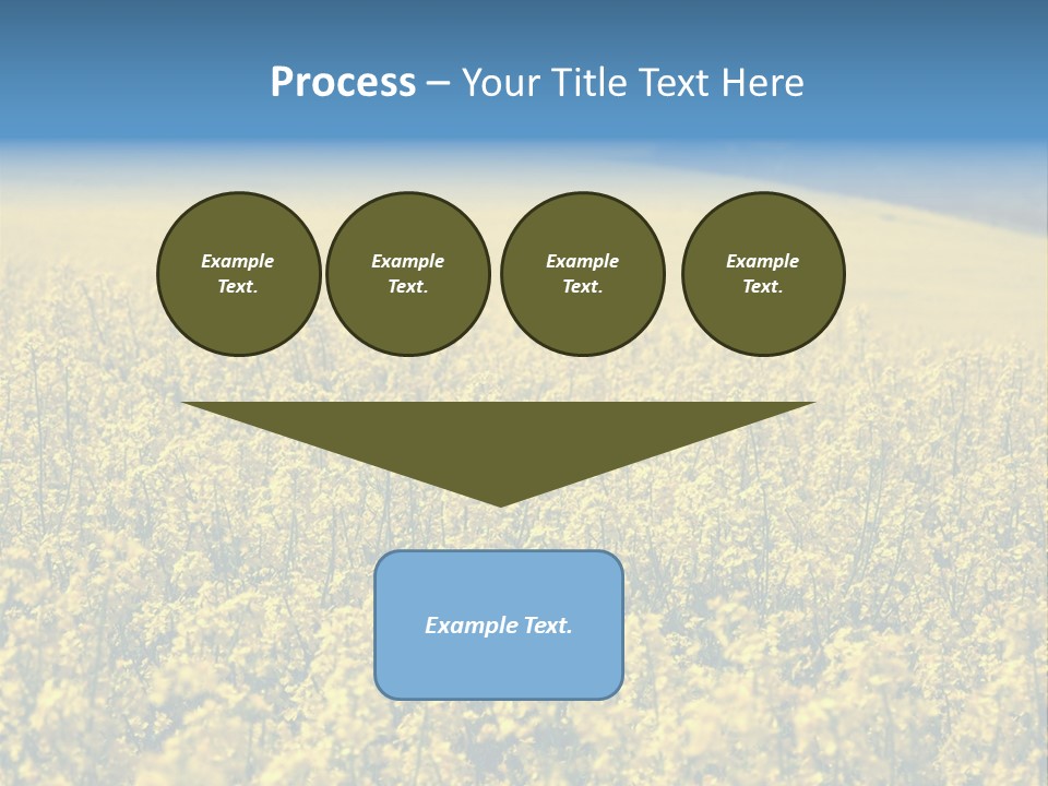 Canola Sun Gold PowerPoint Template