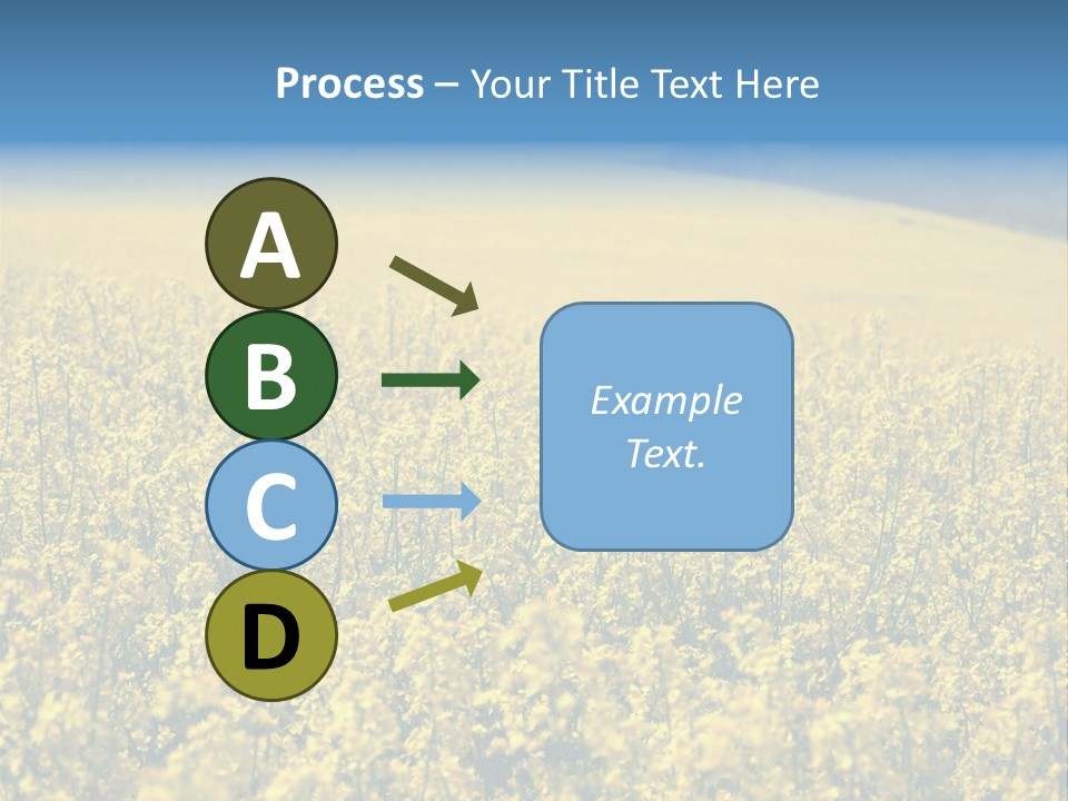 Canola Sun Gold PowerPoint Template