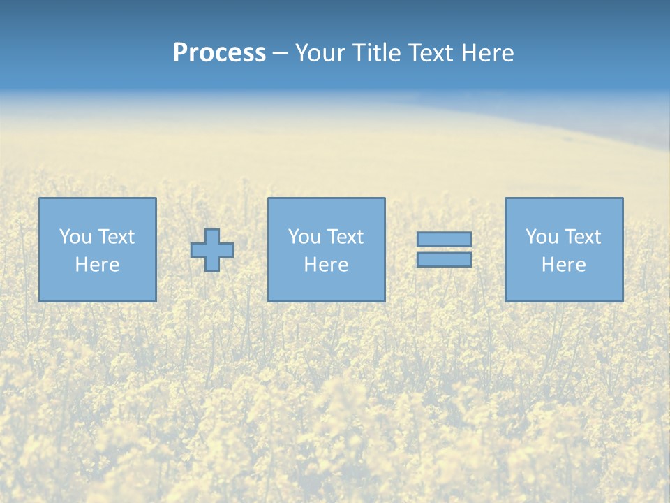Canola Sun Gold PowerPoint Template