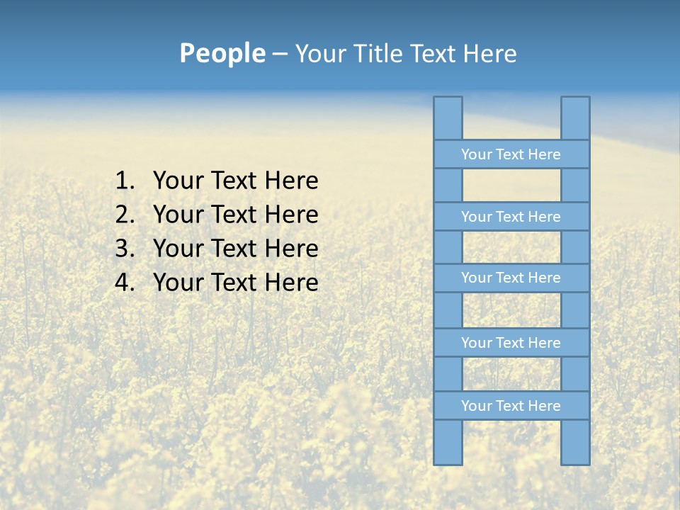 Canola Sun Gold PowerPoint Template