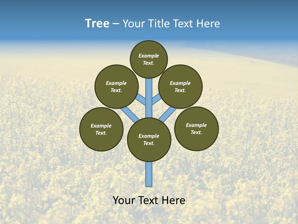 Canola Sun Gold PowerPoint Template
