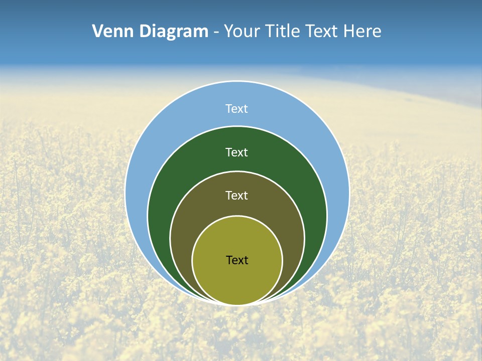 Canola Sun Gold PowerPoint Template