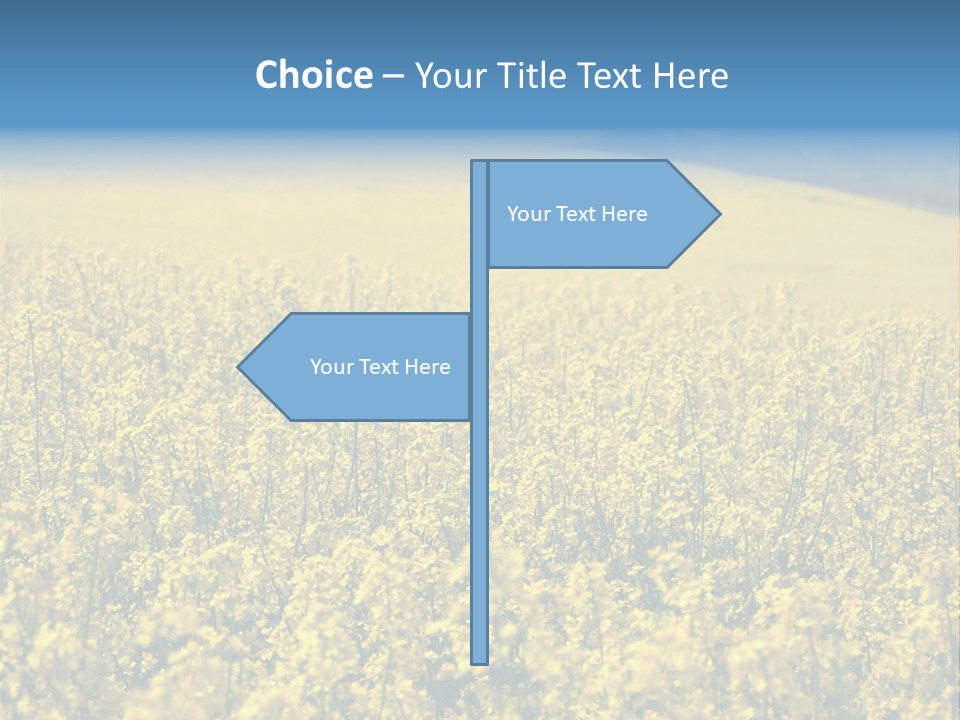 Canola Sun Gold PowerPoint Template
