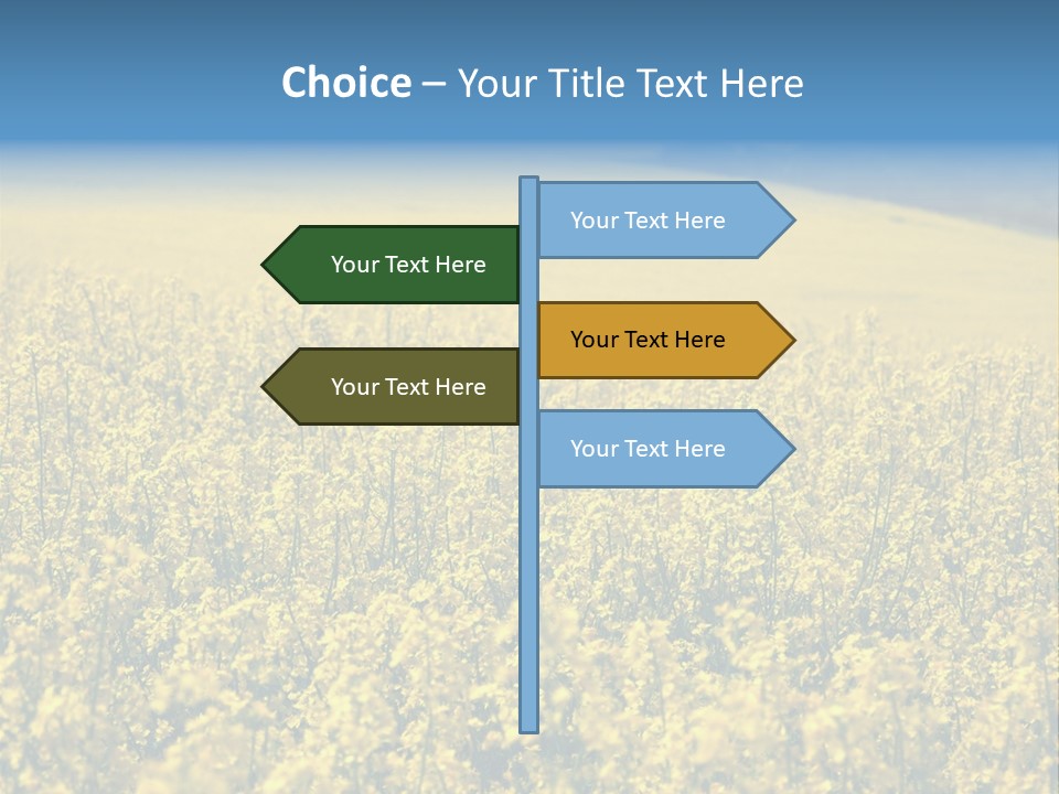 Canola Sun Gold PowerPoint Template