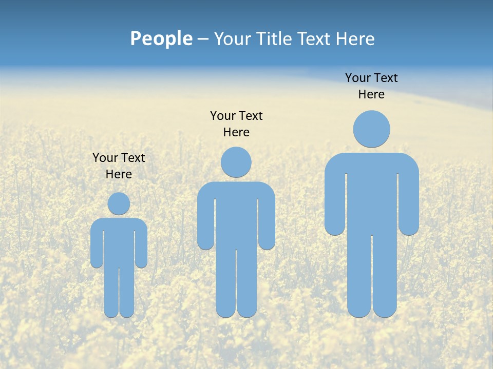 Canola Sun Gold PowerPoint Template