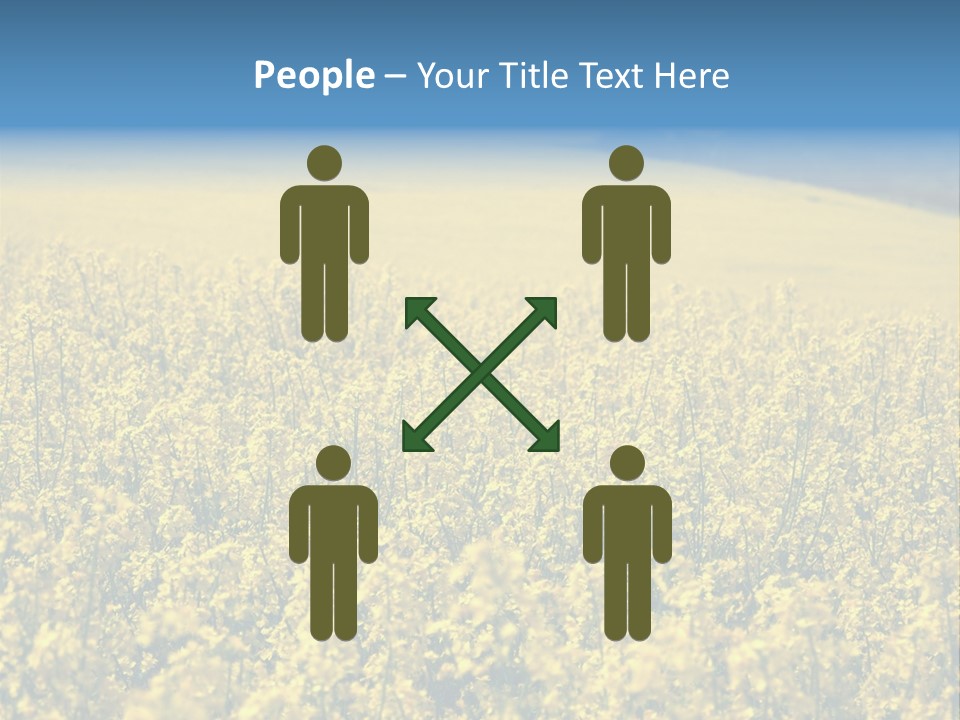 Canola Sun Gold PowerPoint Template
