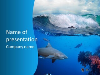 Sport Predator Surfing PowerPoint Template