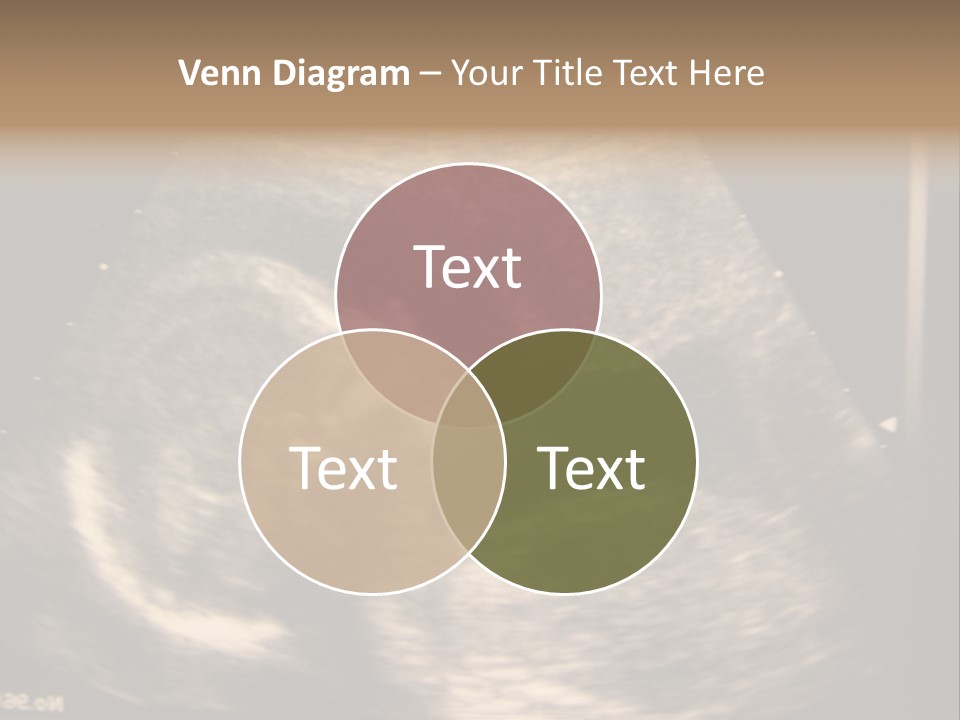 Fetus Ultra Smile PowerPoint Template