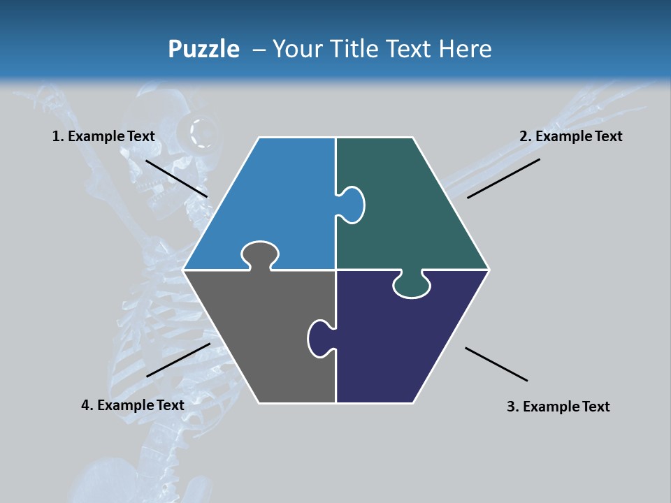 Torso Health Biology PowerPoint Template