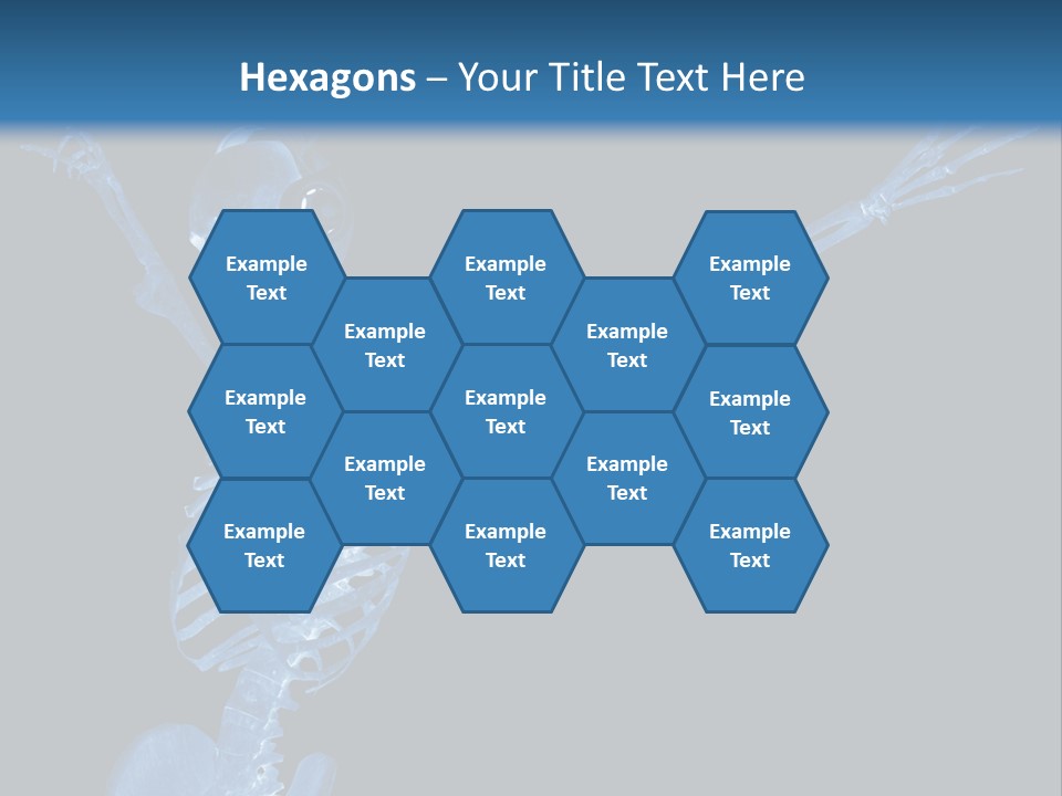 Torso Health Biology PowerPoint Template