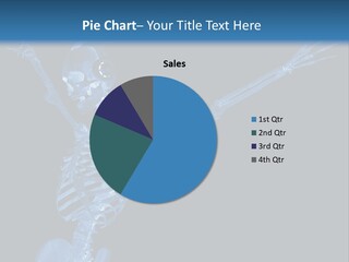 Torso Health Biology PowerPoint Template