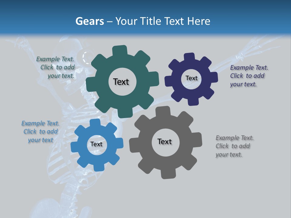 Torso Health Biology PowerPoint Template