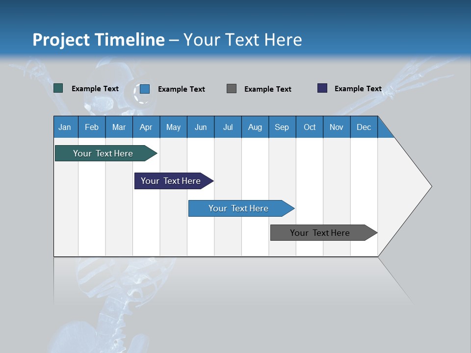Torso Health Biology PowerPoint Template