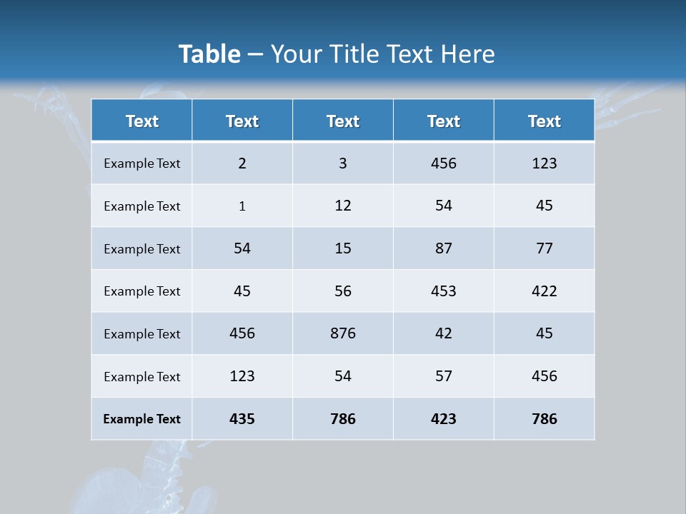 Torso Health Biology PowerPoint Template
