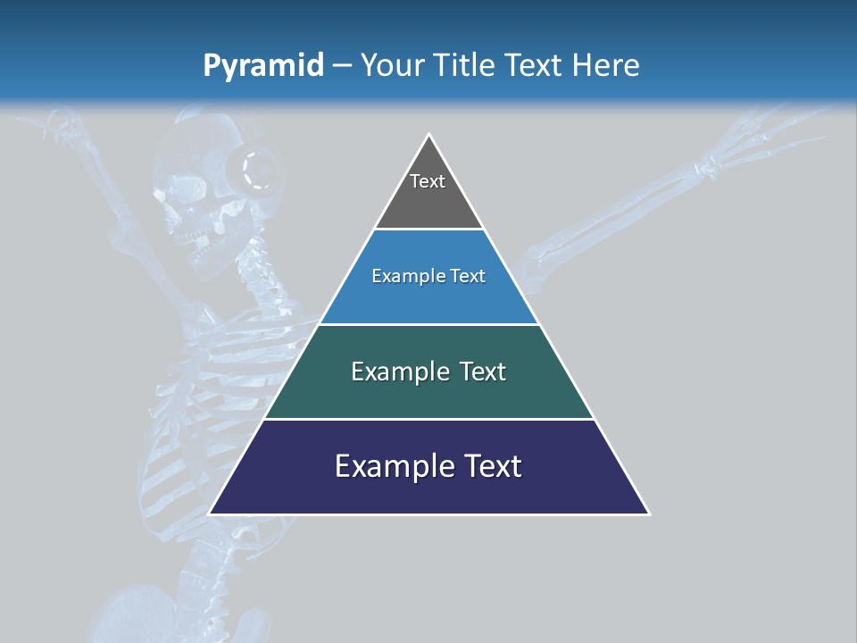 Torso Health Biology PowerPoint Template