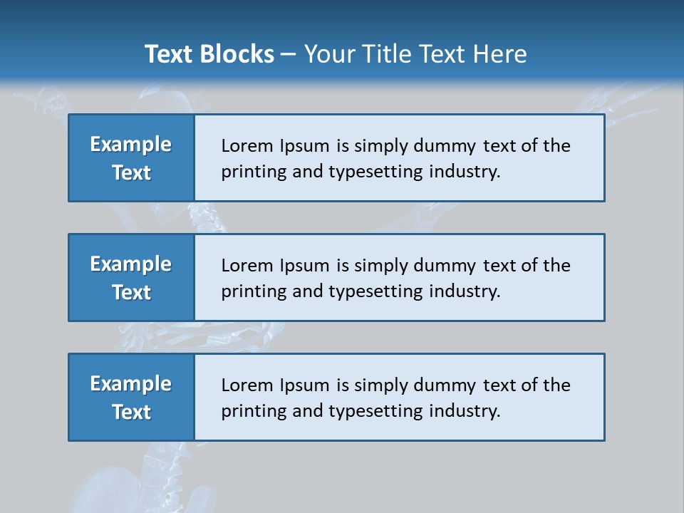 Torso Health Biology PowerPoint Template